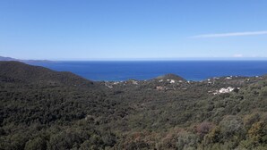 Et bjergrigt landskab med tæt skov, en klar blå himmel og havet i det fjerne.