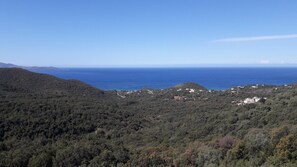 A mountainous landscape with dense forest, a clear blue sky, and the sea in the distance. - L'Alivetu - FARINOLE (FARINOLE)