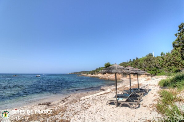 Strand
