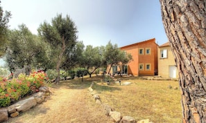A building with a red exterior, a stone wall, and a tree in the foreground. - Aja puzzuta - COTI CHIAVARI (COTI CHIAVARI)