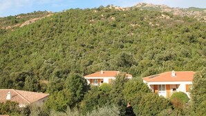 Una ladera con dos edificios, uno con tejado rojo y otro con tejado blanco, rodeados de árboles verdes y frondosos.