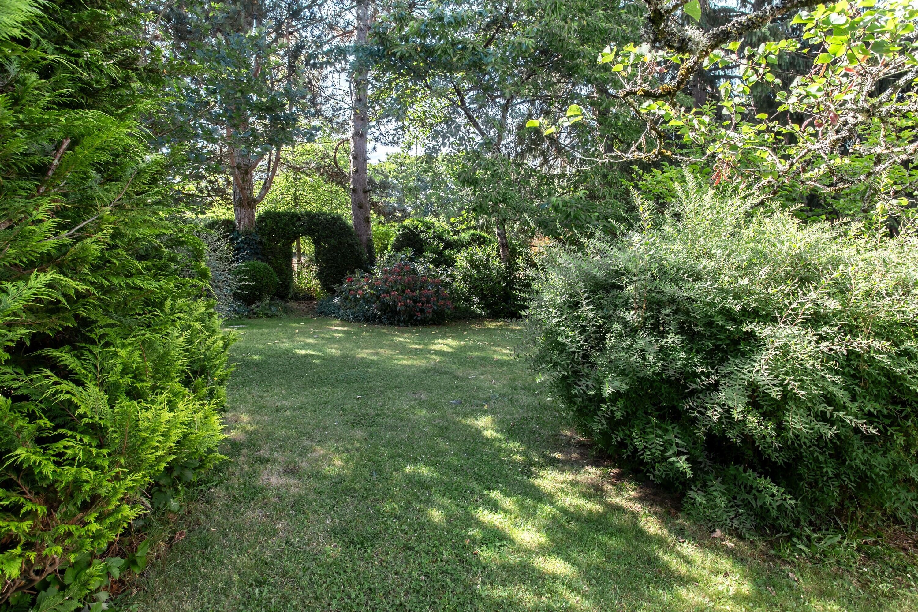 Un jardin avec une pelouse, des arbres et divers arbustes.