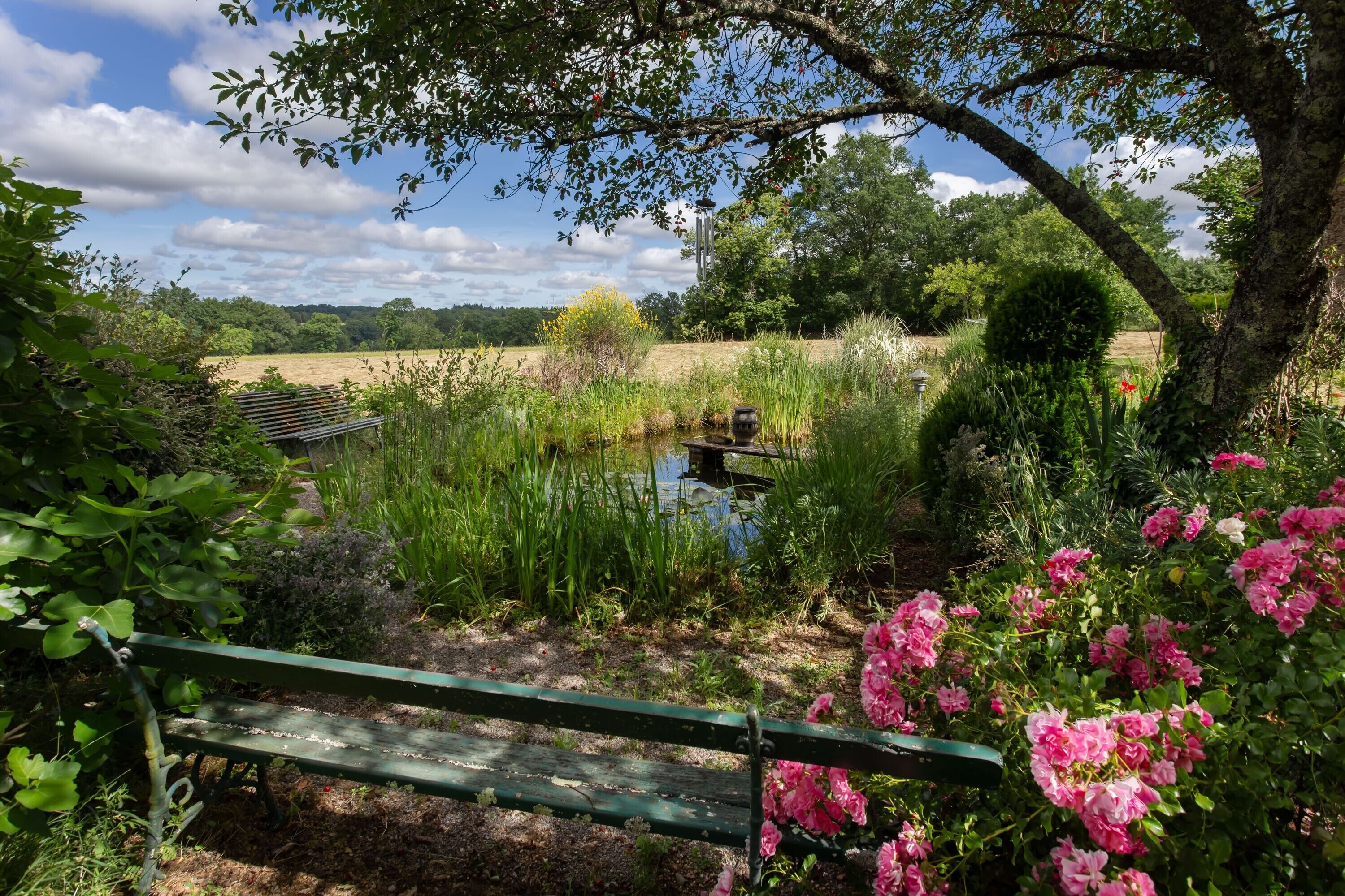 Eine Bank in einem Garten mit einem Teich, umgeben von viel Grün und Blumen.