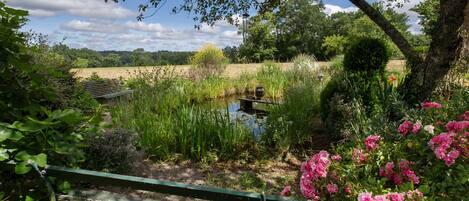 Eine Bank in einem Garten mit einem Teich, umgeben von viel Grün und Blumen.
