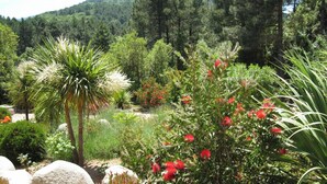 Un jardin où l’on trouve différentes plantes et arbres, notamment un palmier et des fleurs rouges.