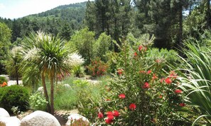 Ein Garten mit verschiedenen Pflanzen und Bäumen, darunter eine Palme und rote Blüten.