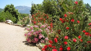 Un chemin de gravier traverse un jardin où poussent des plantes à fleurs rouges et roses, avec en arrière-plan des arbres et des montagnes.