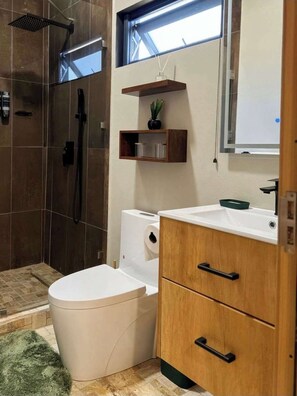 Chuveiro, secador de cabelo, toalhas de banho, shampoo