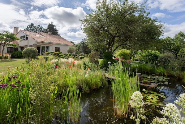 A house with a garden, a pond, and a tree.