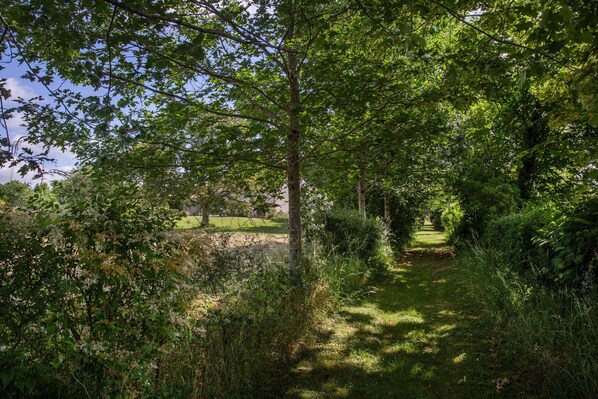 Un sentier bordé d’une végétation luxuriante et d’arbres, qui mène à un bâtiment situé au loin.