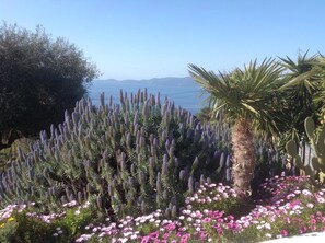 Miscellaneous - Vrbo Property (CALCATOGGIO)