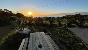 Una terraza de madera con un cactus y una piedra, con vistas a un jardín ajardinado y una carretera al fondo.