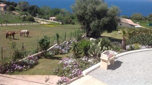 Una propiedad costera con caballos pastando, un jardín con cactus y flores, y vista al mar.