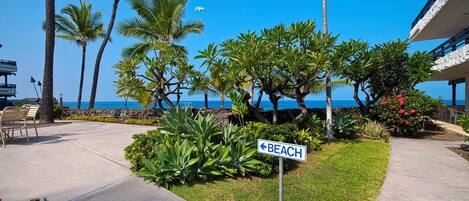 A pathway leading to a beach, palm trees, and a sign indicating the direction to the beach.