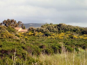 A rural landscape with a house surrounded by dense vegetation and hills in the background. - LA BARAKA - PIANOTTOLI CALDARELLO (PIANOTTOLI CALDARELLO)