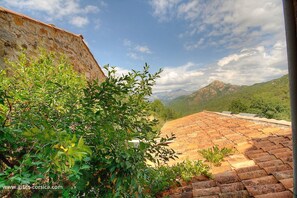 Property grounds - Vrbo Property (BASTELICA)