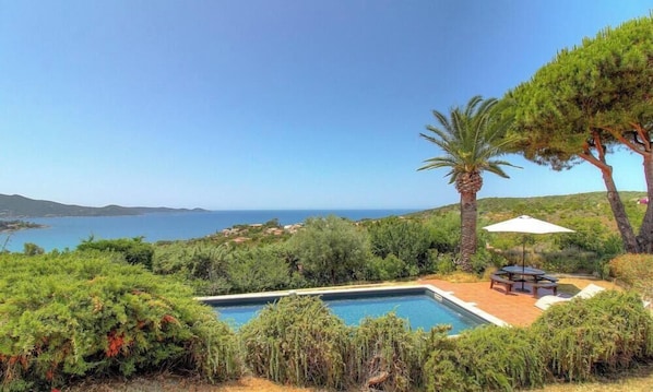 Ein Pool mit Blick auf das Meer, umgeben von Grün und einer Palme.