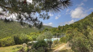 Un'area piscina circondata da vegetazione rigogliosa e colline.