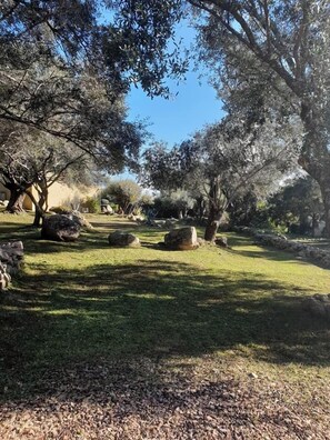 Un parque con árboles, césped y rocas.