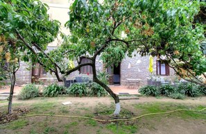 A courtyard with a tree, stone building, and outdoor seating. - Papyrus - SANTA REPARATA DI BALAGNA (SANTA REPARATA DI BALAGNA)