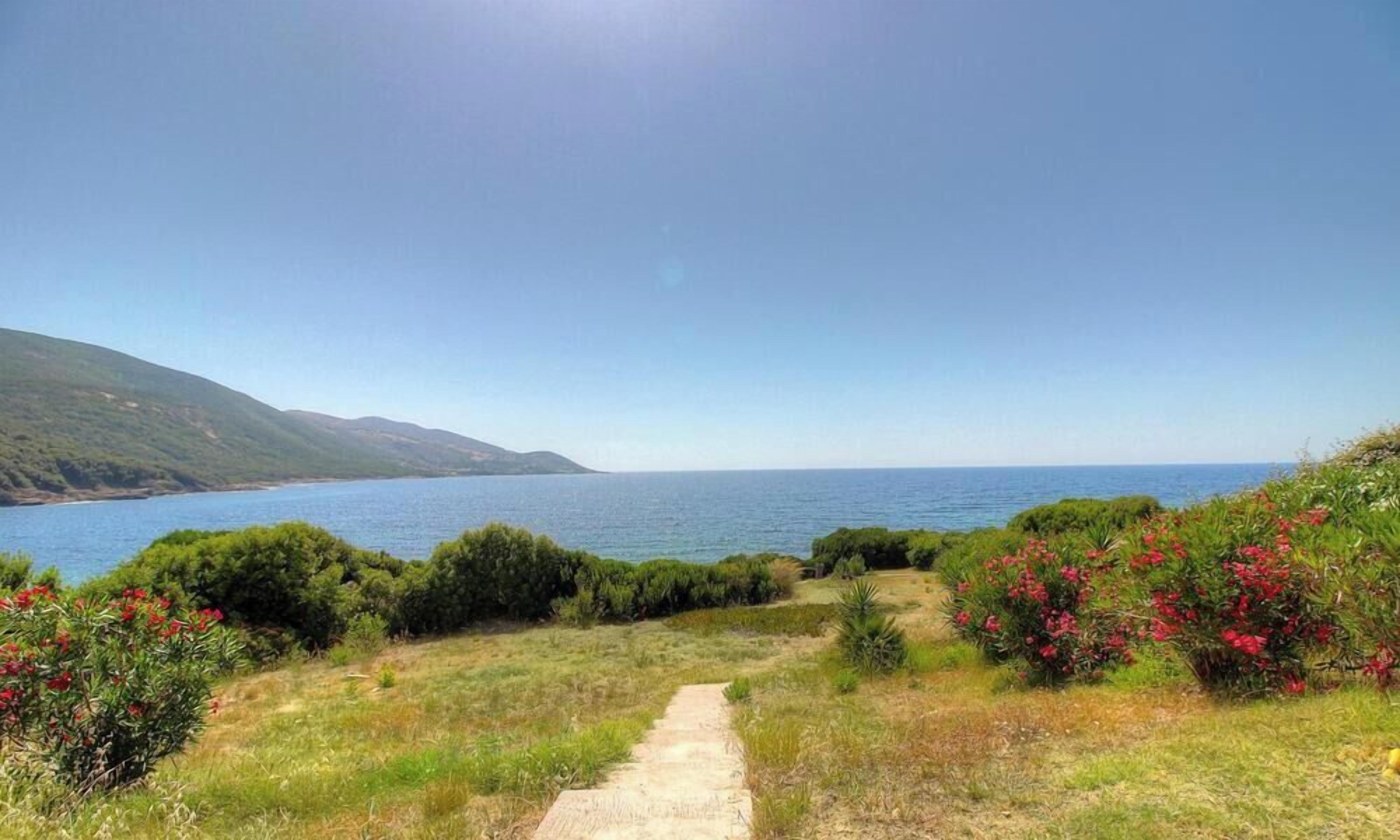 A coastal landscape with a clear path leading to the sea, surrounded by greenery and shrubs.