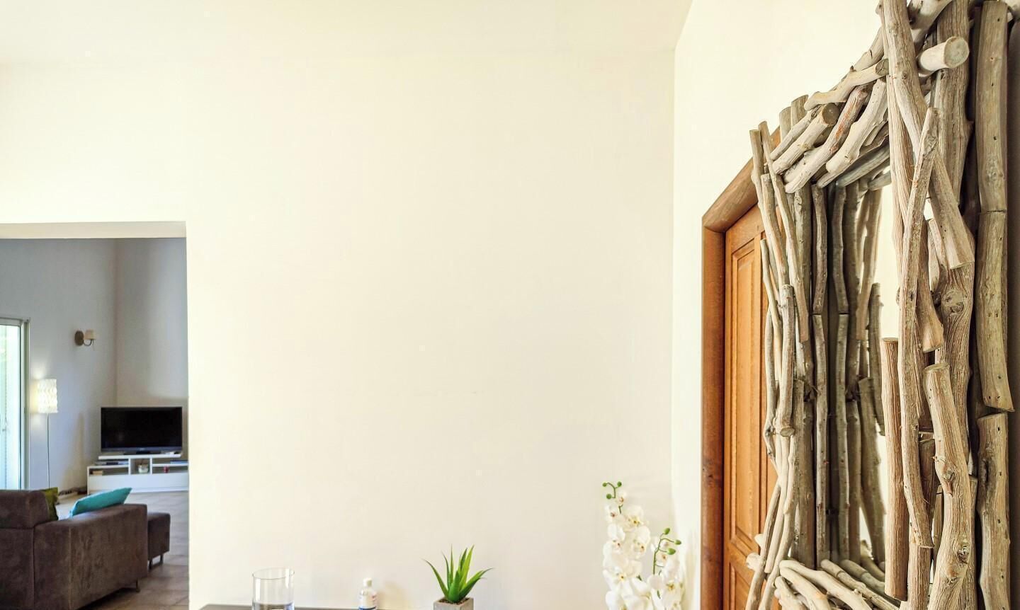 Un salon comprenant un canapé, un téléviseur, une plante et une structure décorative en bois.