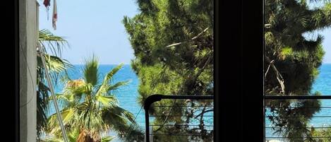A view through a window with a metal railing, featuring a beach with umbrellas and a palm tree.