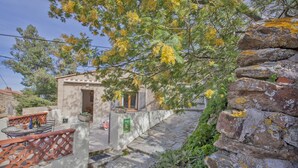 A stone pathway leading to a small building with a door and windows, surrounded by greenery and a tree with yellow flowers. - In Chjusella - BELGODERE (BELGODERE)