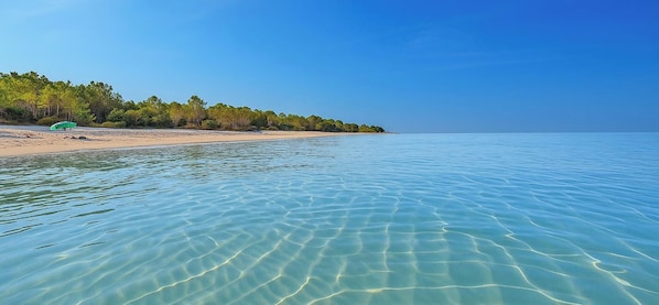 Ein Strand mit klarem Wasser, sandigem Ufer und bewaldetem Gebiet.