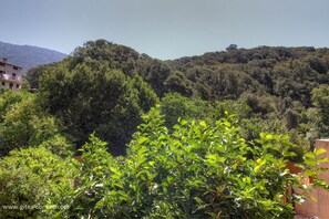 Miscellaneous - Vrbo Property (SAGONE)