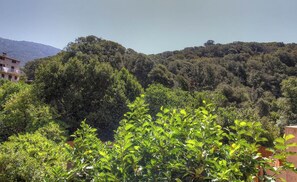 Eine gebirgige Landschaft mit dichter Vegetation und einem Gebäude im Vordergrund.