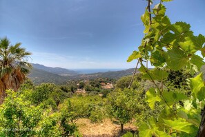 Miscellaneous - Vrbo Property (SARI D'ORCINO)