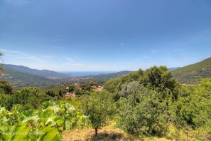 Miscellaneous - Vrbo Property (SARI D'ORCINO)