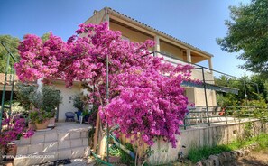 Exterior - Vrbo Property (ALATA)