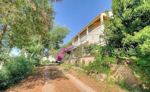 Eine ländliche Straße führt zu einem Gebäude mit Balkon, umgeben von üppiger Vegetation und Bäumen.