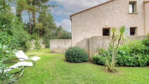 A house with a stone exterior, a small window, and a garden with grass, a palm tree, and a chair. - The strawberry tree - SAN GAVINO DI CARBINI (SAN GAVINO DI CARBINI)