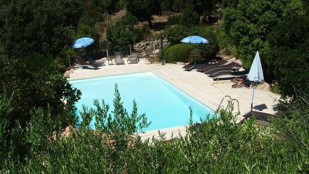 Una piscina con sillas de descanso y sombrillas, rodeada de abundante vegetación.