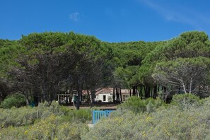 Exterior - Vrbo Property (SORBU OCAGNANU)