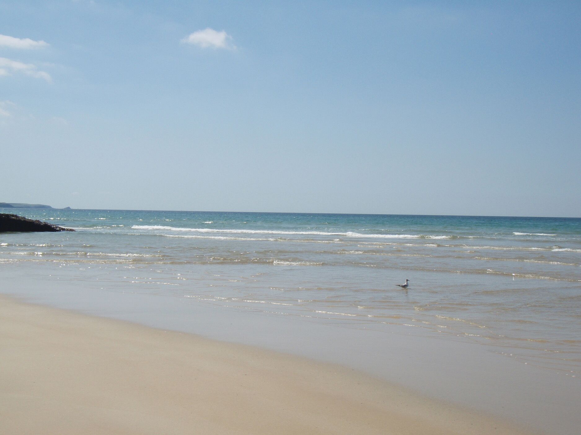 Uma praia com céu claro, mar calmo e um único pássaro na areia.