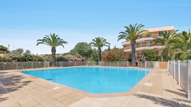 Una piscina rectangular con solárium azulejado, rodeada de palmeras y arbustos en flor, con un edificio de varios pisos al fondo.