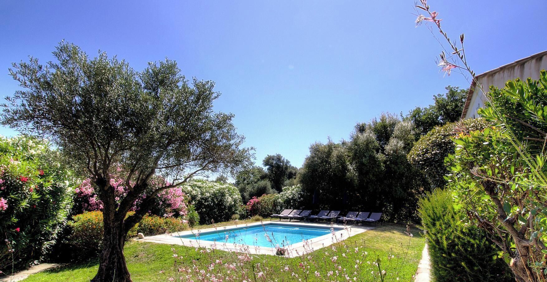 Ein Schwimmbecken, umgeben von üppigem Grün und blauem Himmel.