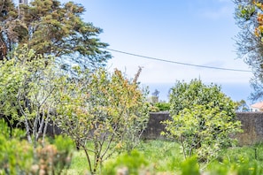 A garden with various trees and a stone wall.
