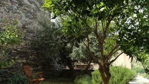 A stone wall, a wooden chair, and a tree in a garden area. - Casa Formosa - PENTA DI CASINCA (PENTA DI CASINCA)