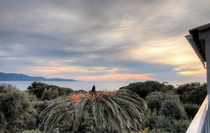 Eine Küstenlandschaft mit üppiger Vegetation und Blick auf das Meer.