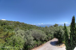 Miscellaneous - MIMOSA 5 - PORTO POLLO (PORTO POLLO)