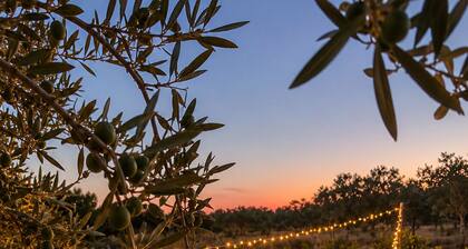 Dimora degli Ulivi – Authentic Sicilian Countryside Escape with private Pool