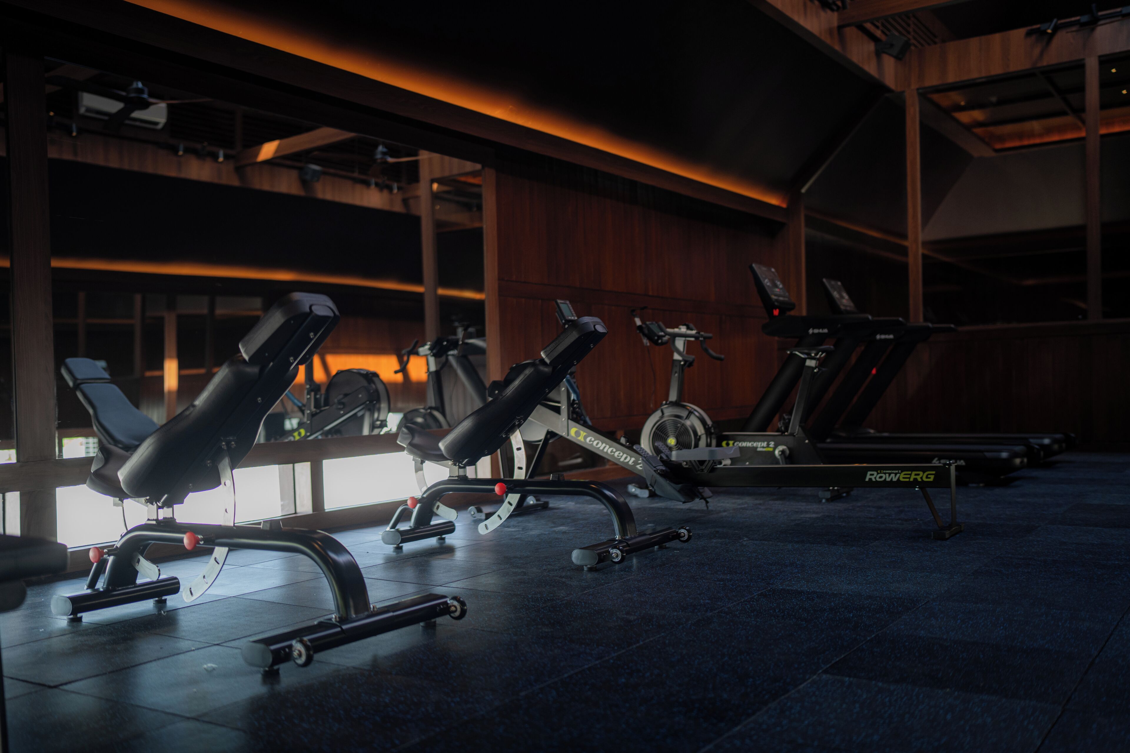 Uma academia com diversos equipamentos de ginástica, incluindo esteiras e máquinas de musculação.