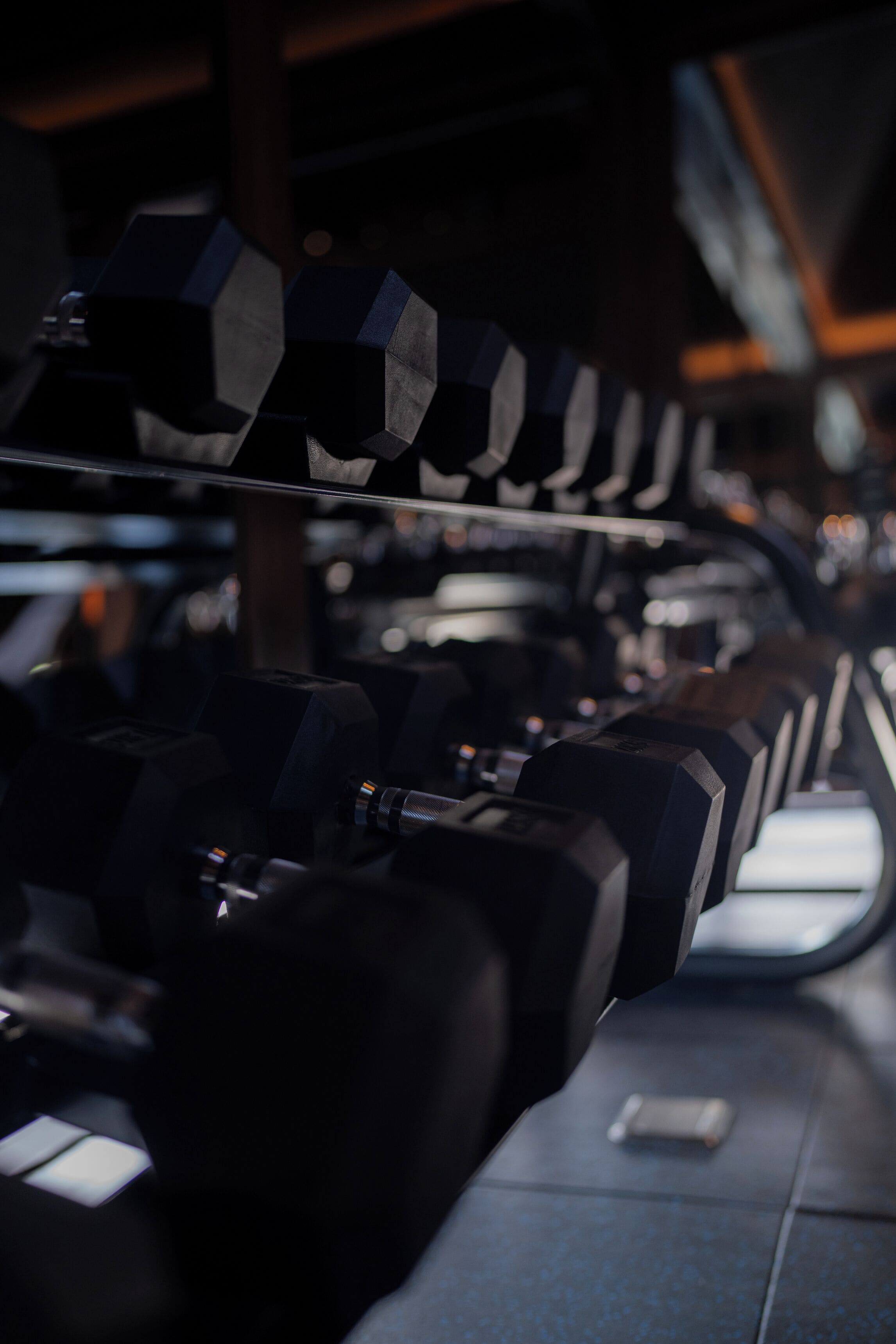 A row of dumbbells on a rack in a gym.