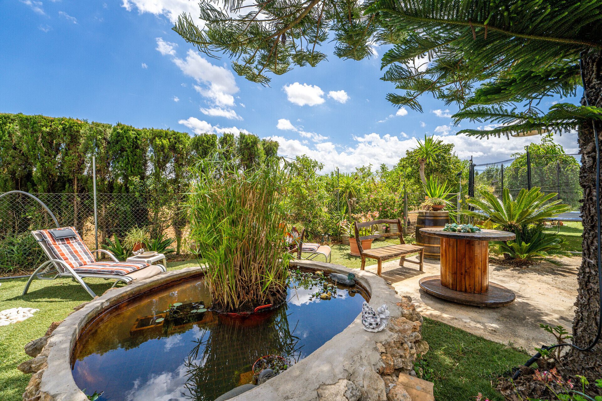 A backyard with a pond, lounge chairs, a wooden table, and various plants.