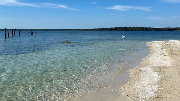 A clear beach with calm water, a sandy shore, and a distant forest line.